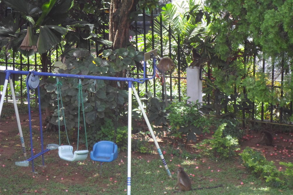 Kandy Green View Bungalow Exterior foto